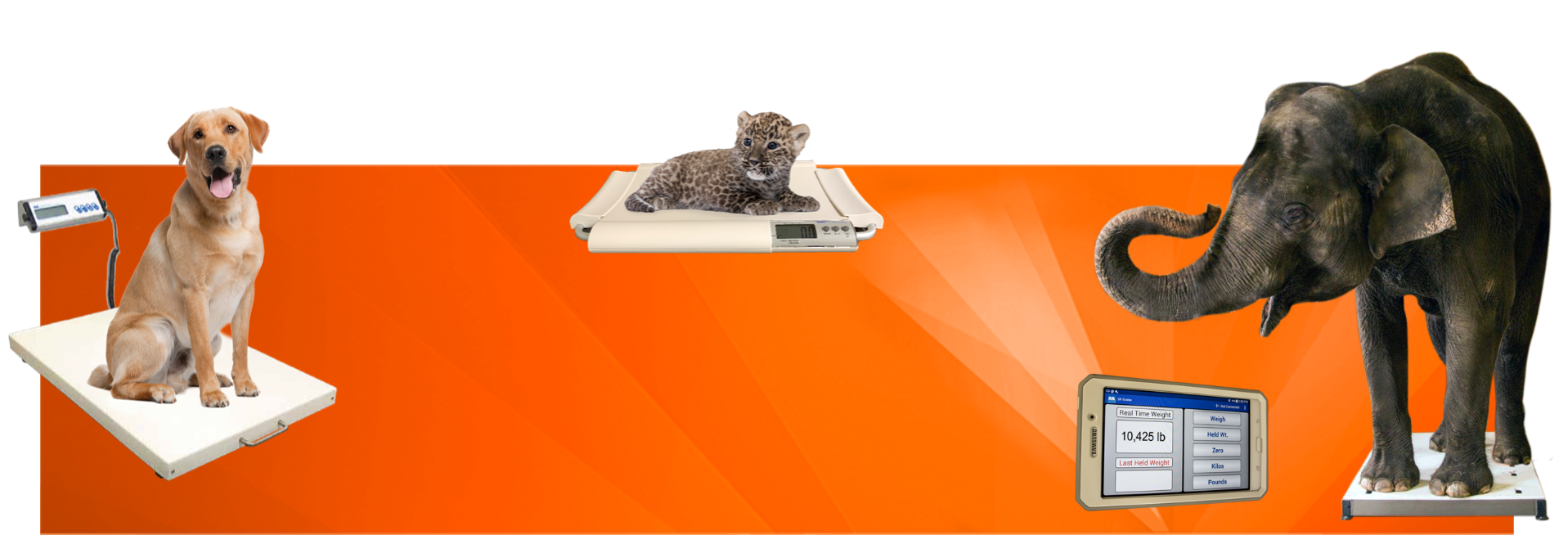 Pet & Zoo Scales banner